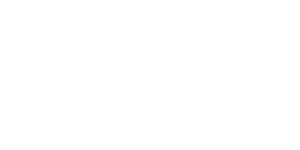 에이스 칩 logo